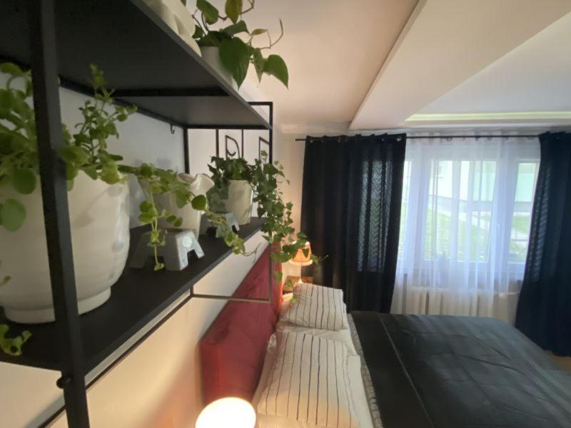 Apartament ,, Sen I Kawa" - Komfortowy Nocleg W Sercu Aglomeracji Битом Екстер'єр фото